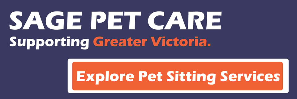 cost of a pet sitter in Canada