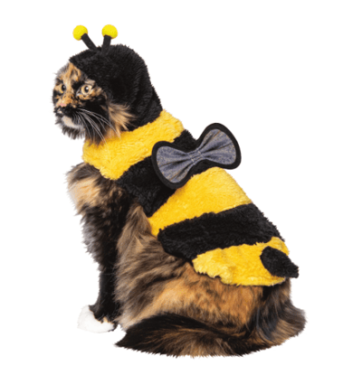 bumble bee cat costume
