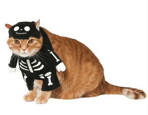 skeleton cat costume