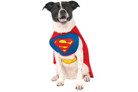 superhero dog costume-min