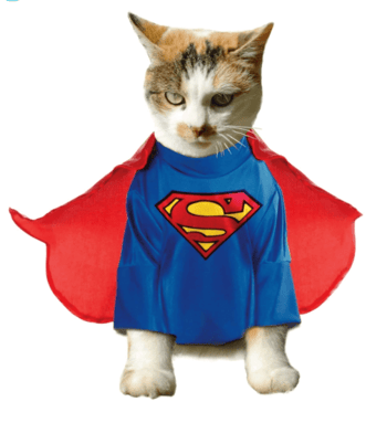 superman cat costume