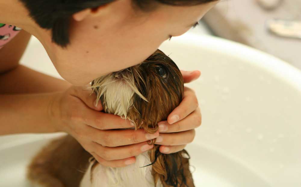 can i bathe with my dog